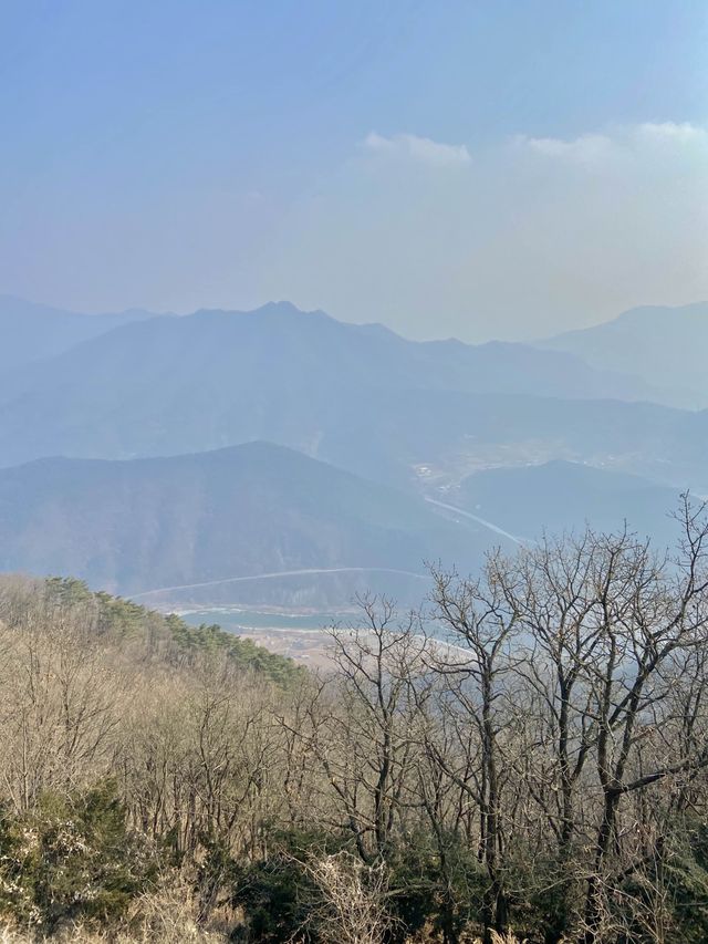 영월 봉래산 정산에서 패러글라이딩🪂