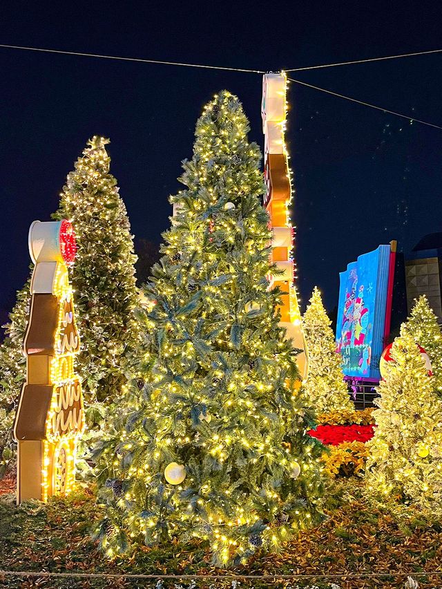 동화 마을 속 불빛 축제에 초대된 듯한 이월드 일루미네이션 🎅🏻⛄️🤍