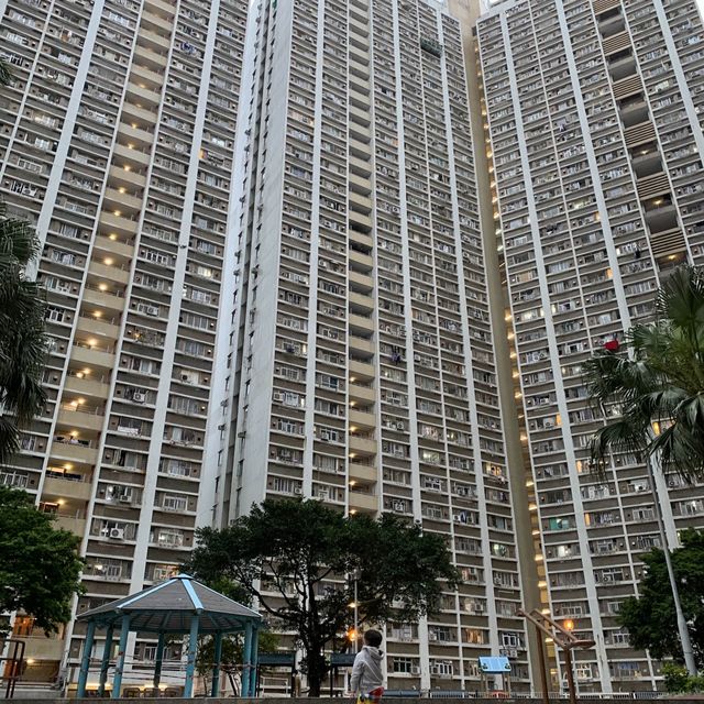 走進時光隧道🐷仔，發現咗多啦A夢隨意門