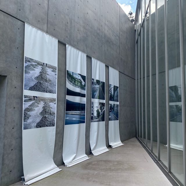 ルール?展