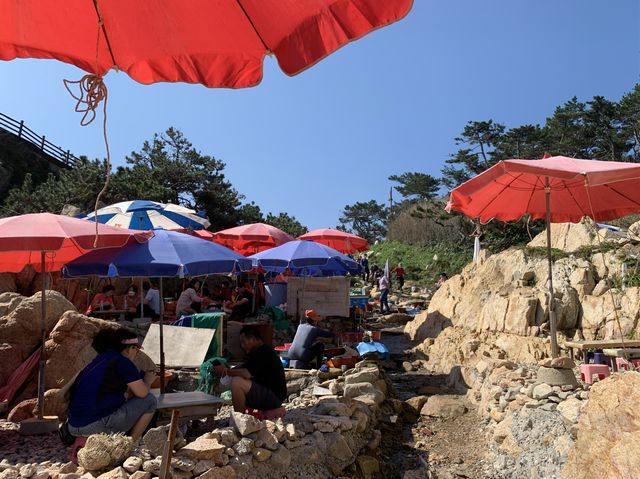 [🇰🇷, 울산] 대왕암뷰 보며 해산물 즐기는, 해녀촌 🐚⛱