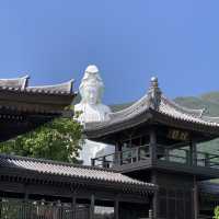 石屎森林外的靜土 - 慈山寺