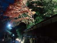 京都[紅葉めぐり]   幻の紅葉　瑠璃光院