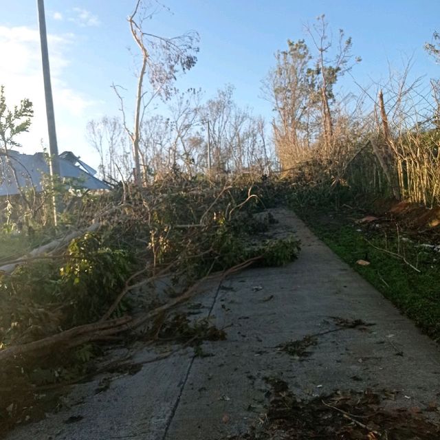 typhoon Odette aftermath