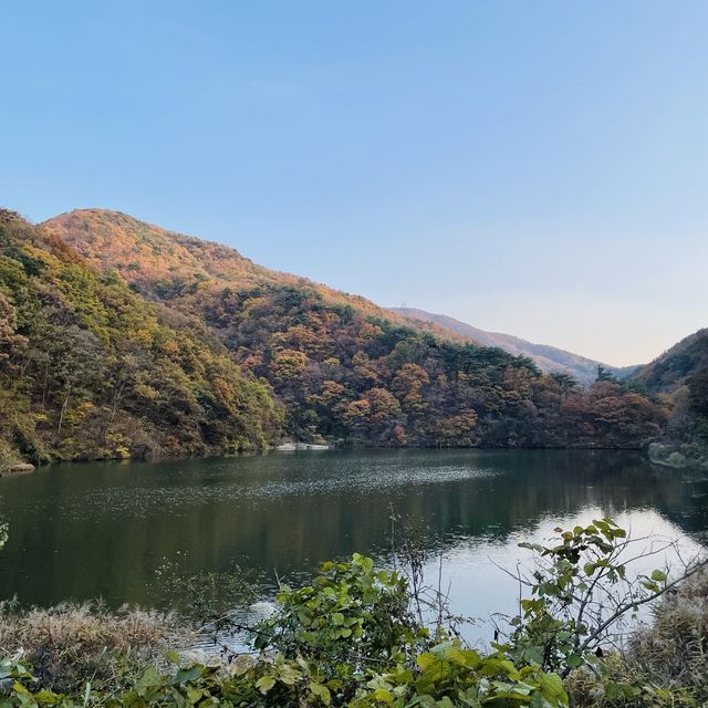 울산 북구 박상진공원