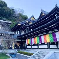 【神奈川】あじさいや紅葉も有名🍁長谷寺