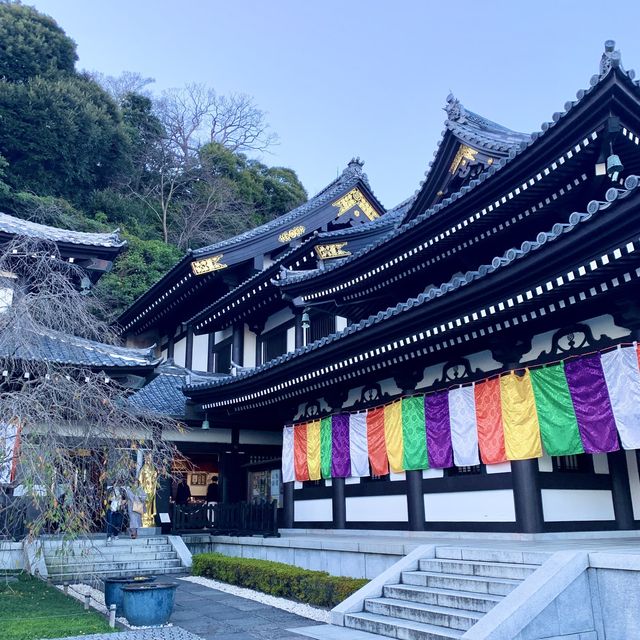 【神奈川】あじさいや紅葉も有名🍁長谷寺