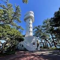 【静岡】スリル満点の「城ヶ崎海岸」の吊橋