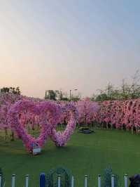 偽日本一日遊。信芯園農莊 Shun Sum Yuen Farm