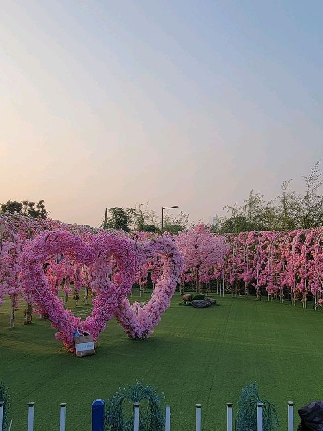 偽日本一日遊。信芯園農莊 Shun Sum Yuen Farm