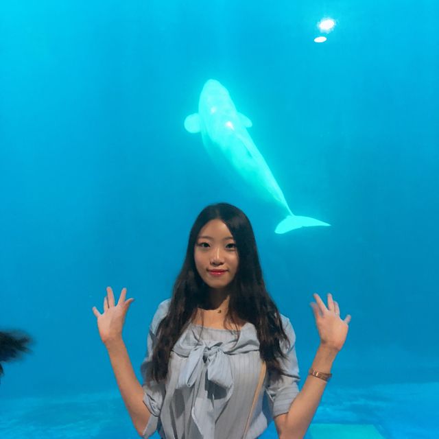 벨로가를 볼 수 있는 아쿠아플라넷 여수🐬