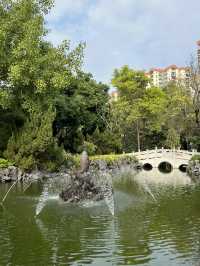 💕拖手漫步於荔枝角公園 👫