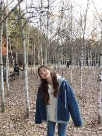 춘천 하면 남이섬이죠💖
