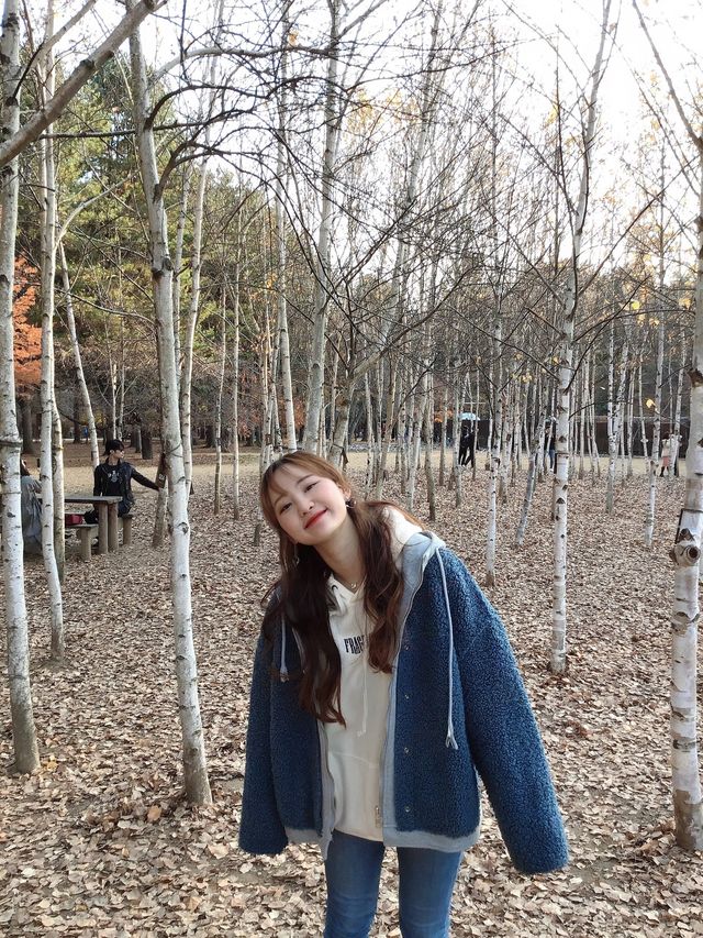 춘천 하면 남이섬이죠💖