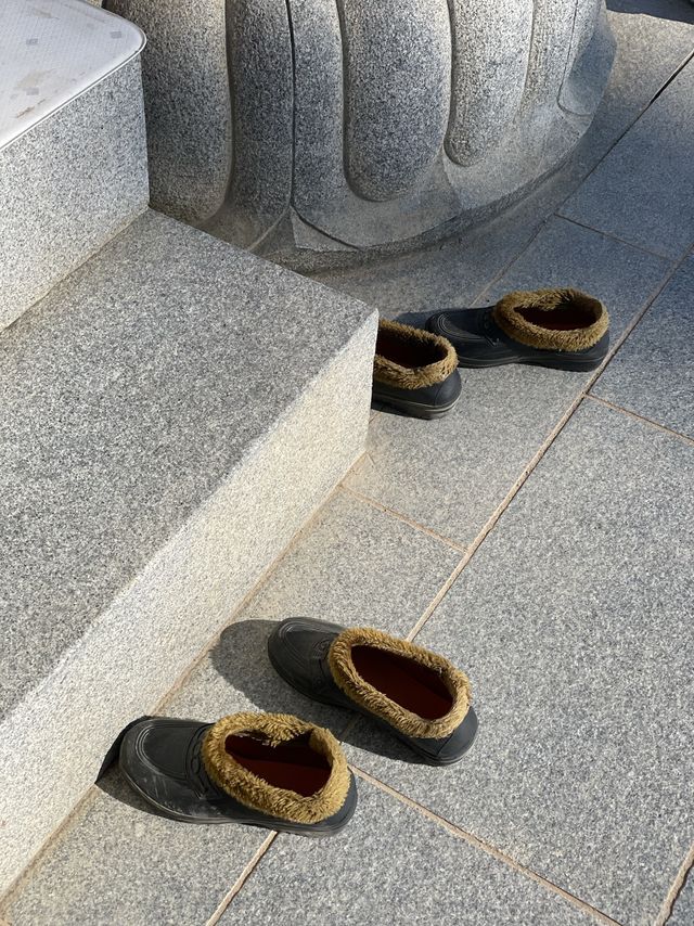 [낙산사] 소원을 말해봐🐈