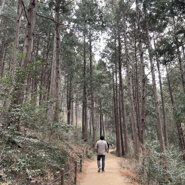 통영 가볼만한 곳 [미래사]