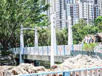 漫步人生 荃灣公園