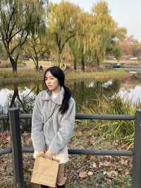 살랑거리는 버드나무가 아름다운, 서울 ‘용산가족공원’