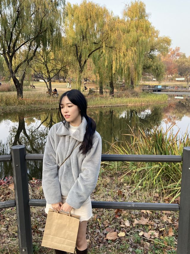 살랑거리는 버드나무가 아름다운, 서울 ‘용산가족공원’