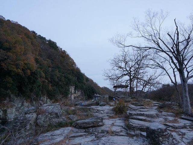 埼玉縣必去秘境➡️ 長瀞岩畳