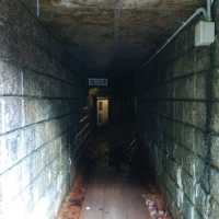 山形県の神秘的な洞窟！銀坑洞・延沢銀山遺跡