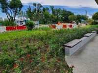 Tampines Naturalised river