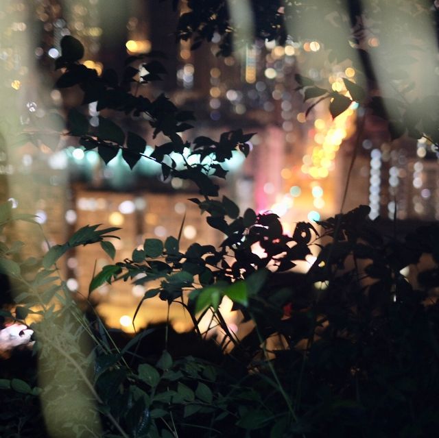 嘉頓山