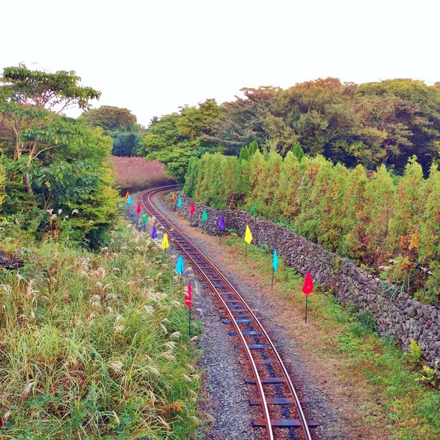 🚂 가을과 어울리는 소풍기차, 에코랜드