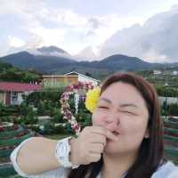 On top of the 'world' at Apo Flower Garden
