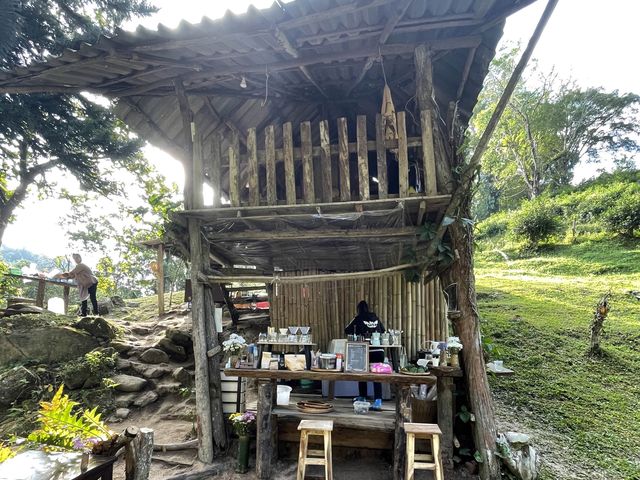 จิบกาแฟ กลางป่าเขา ที่ตุ้บอุ้ยจีน เชียงดาว