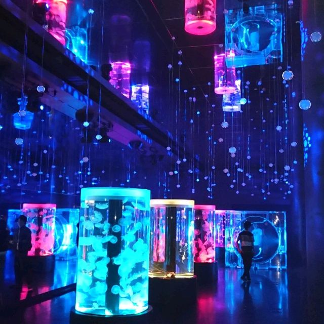 🌙✨夜もやってる水族館🐠