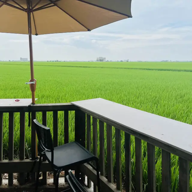 Mesmerising Cafe Paddy Field view Sekinchan