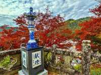 紅葉と陶器のコントラスト