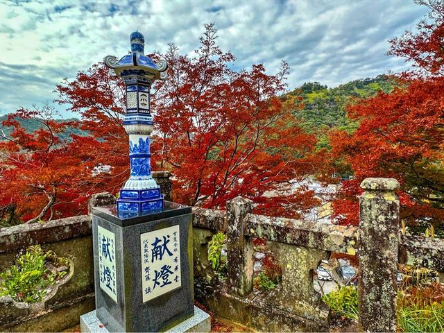 紅葉と陶器のコントラスト