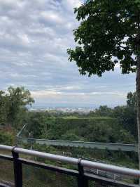 Chiang Mai Zoo 🐼
