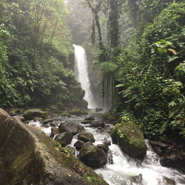 Hiking to see waterfall 