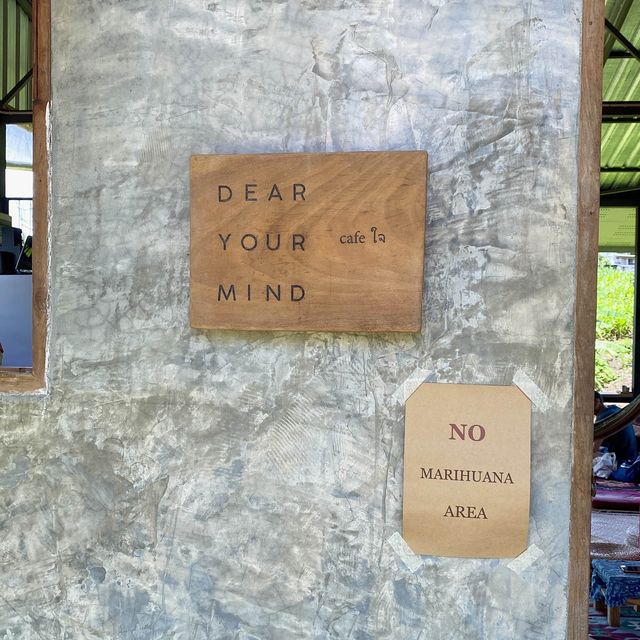 태국 빠이 카페 디어유어마인드 Dear Your Mind