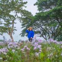 ที่พักสวยริมแม่น้ำกก Le Méridien Chiang Rai Resort