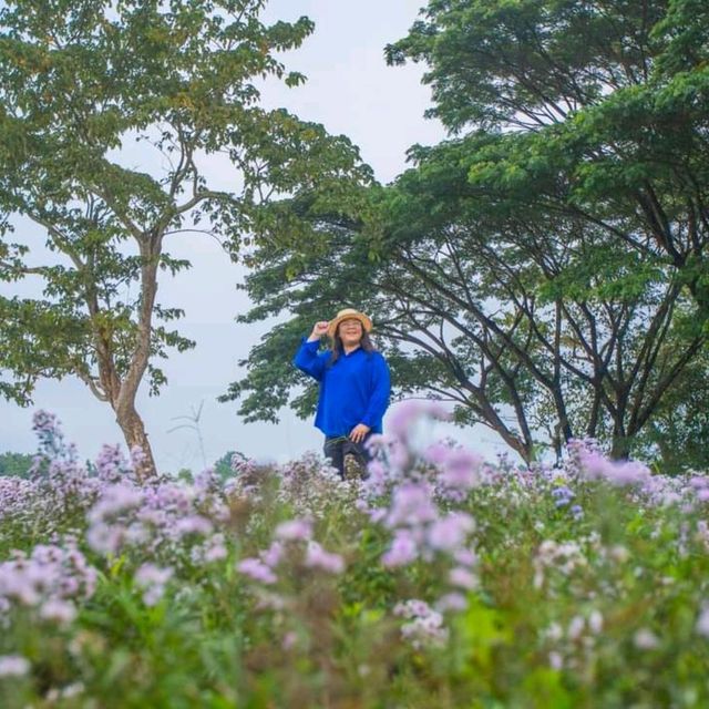 ที่พักสวยริมแม่น้ำกก Le Méridien Chiang Rai Resort