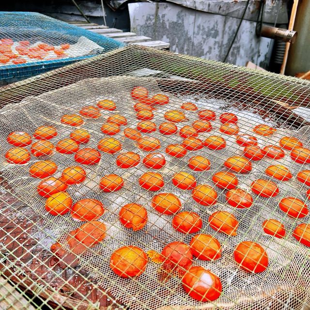 親子好去處：大澳+鹹蛋工作坊