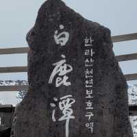 제주도 한라산 겨울 산행