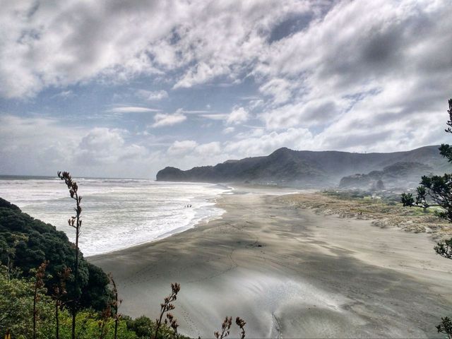 Black sand Beach in Auckland 