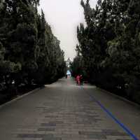 The Temple of Heaven Beijing China 🇨🇳 