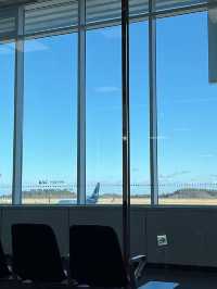 양양에서도 일본까지 갈 수 있다고?!🇰🇷✈️🇯🇵