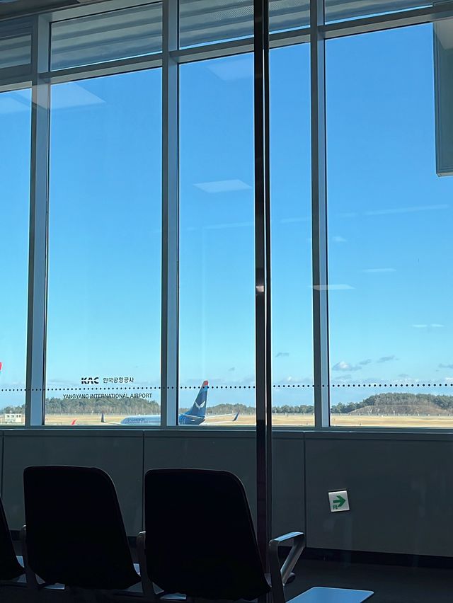 양양에서도 일본까지 갈 수 있다고?!🇰🇷✈️🇯🇵