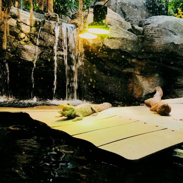Lincoln Park Zoo, Chicago 