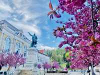 🌸 SPRING HAS SPRUNG IN MISKOLC 🌸