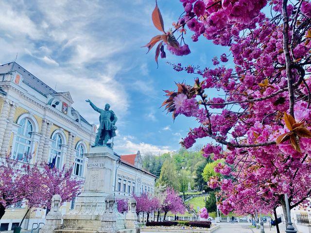 🌸 SPRING HAS SPRUNG IN MISKOLC 🌸