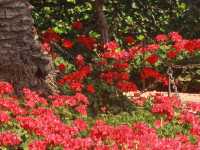 A Colorful Seaside City - Haifa