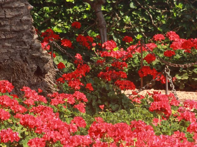 A Colorful Seaside City - Haifa